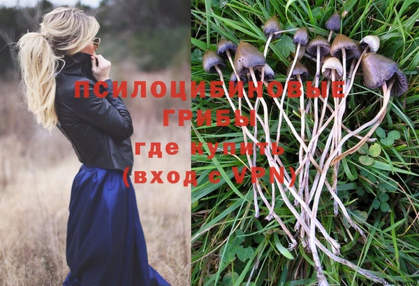 кокаин перу Гусев