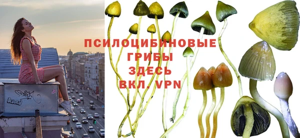 марки lsd Горняк