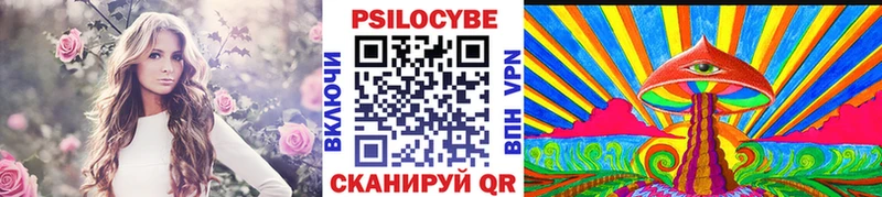Купить  Онега  Галлюциногенные грибы мицелий 